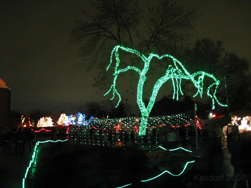 Toledo Zoo Lights 2008 088.jpg - The regular visit to the Toledo Ohio Zoo to see the Christmas Lights displays. New this trip were the "Dancing Lights", displays flashing in time with the Christmas Songs.